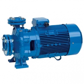 Промышленный центробежный моноблочный насос SPERONI CS 50-160A